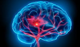 brain image with blue background