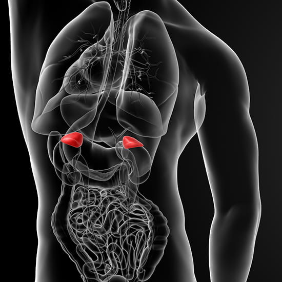 Frankly Speaking CME 20