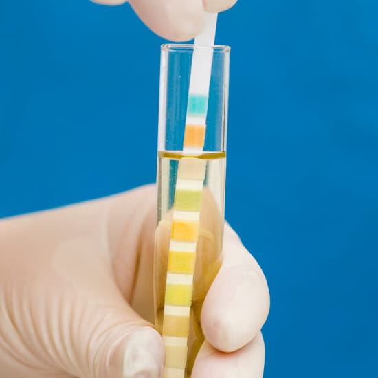 Frankly Speaking CME 74