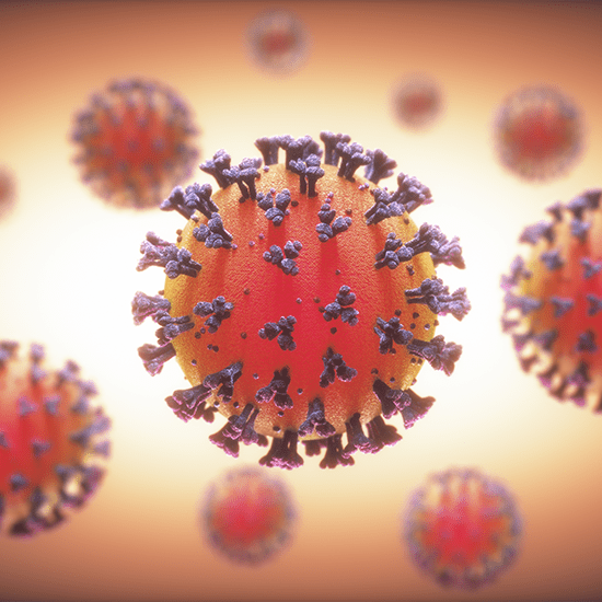virus molecule
