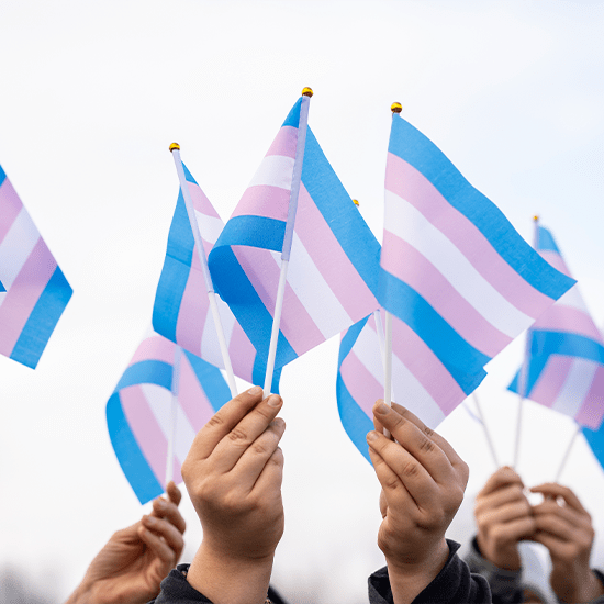 group waving a transgender flag