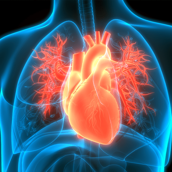 blue chest xray highlighting heart