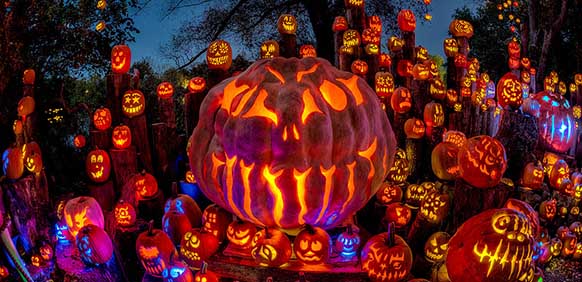 Pumpkins from Jack-O-Lantern Spectacutular photo credit Trig Photography