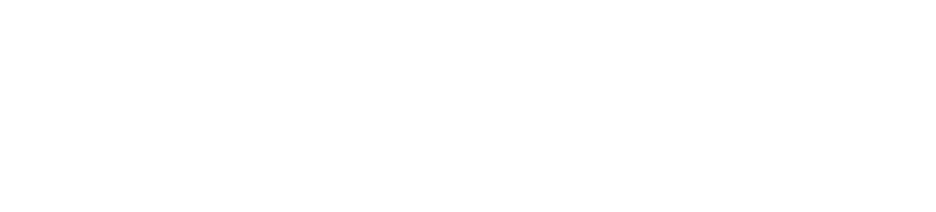 Pri-Med South white logo no year