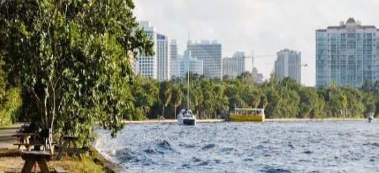 Hugh Taylor Birch State Park | Things to do at Pri-Med South