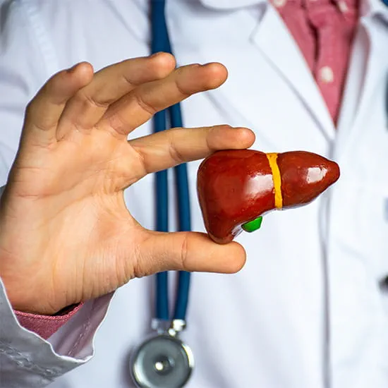 Doctor holding small kidney scale