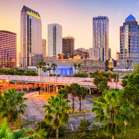 Pri-Med Tampa | Regional CME/CE Conference