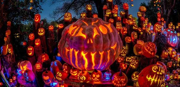 Pumpkins from Jack-O-Lantern Spectacutular photo credit Trig Photography