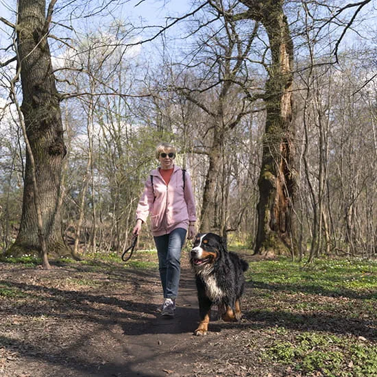 woman walking dog