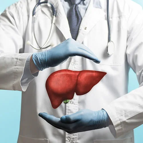 Image of a doctor in a white coat and liver above his hands.