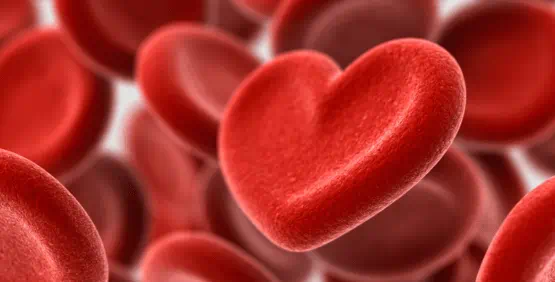 heart shaped platelets