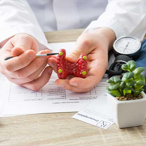 At doctors appointment physician shows to patient shape of thyroid with parathyroid glands with focus on hand with organ. Scene explaining patient causes and localization