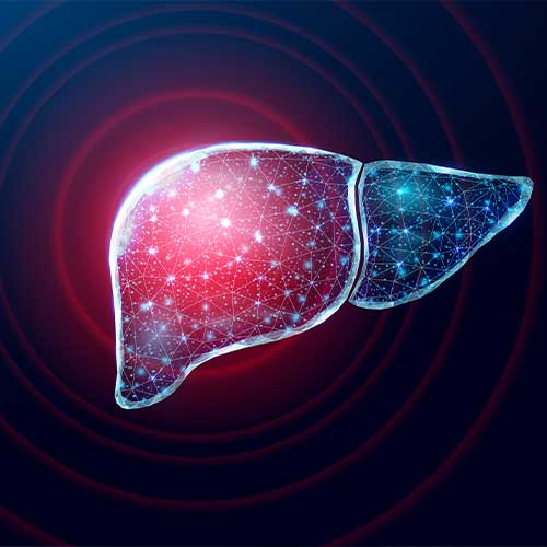 Human liver protection. Wireframe low poly style. Concept for medical, pharmacology, treatment of the hepatitis. Abstract modern 3d vector illustration on dark blue background
