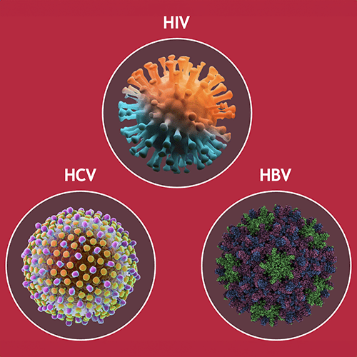 HIV, HCV, HBV medical illustration