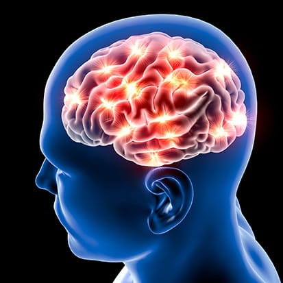 brain image