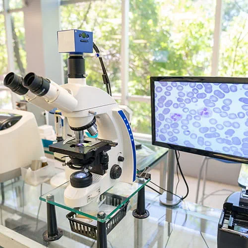 Microscope in a lab