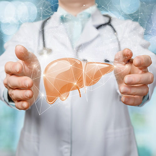 Doctor with outstretched hands and a medical illustrator of a liver