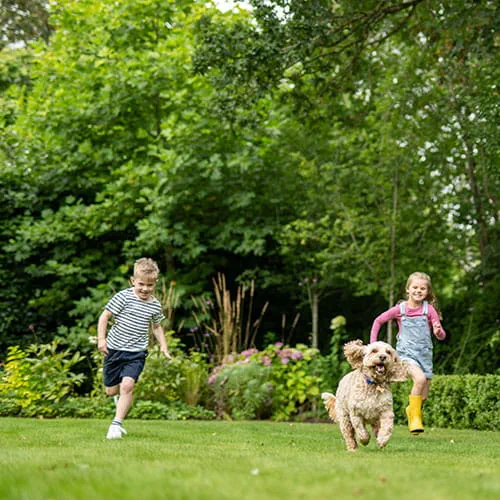 Children running outside with a dog