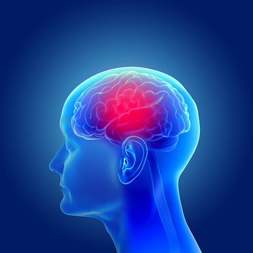 3d illustration of the human head and mind
