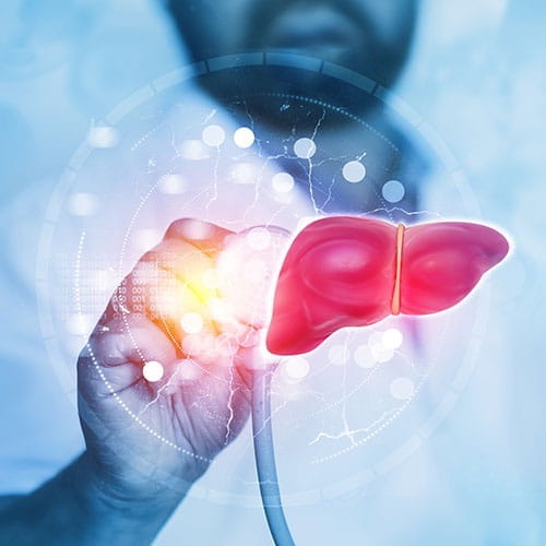 Human liver on science background