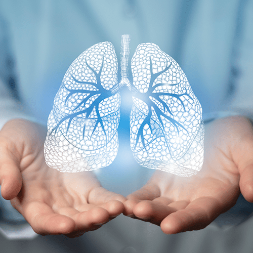 Hands cup an illustration of a pair of lungs.