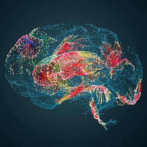 Human brain.