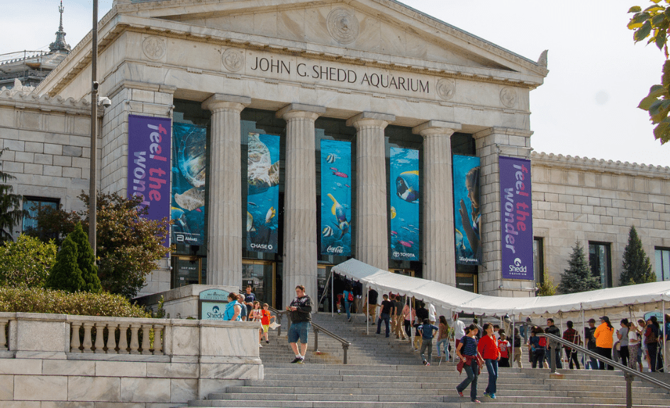 Shedd Aquarium Chicago