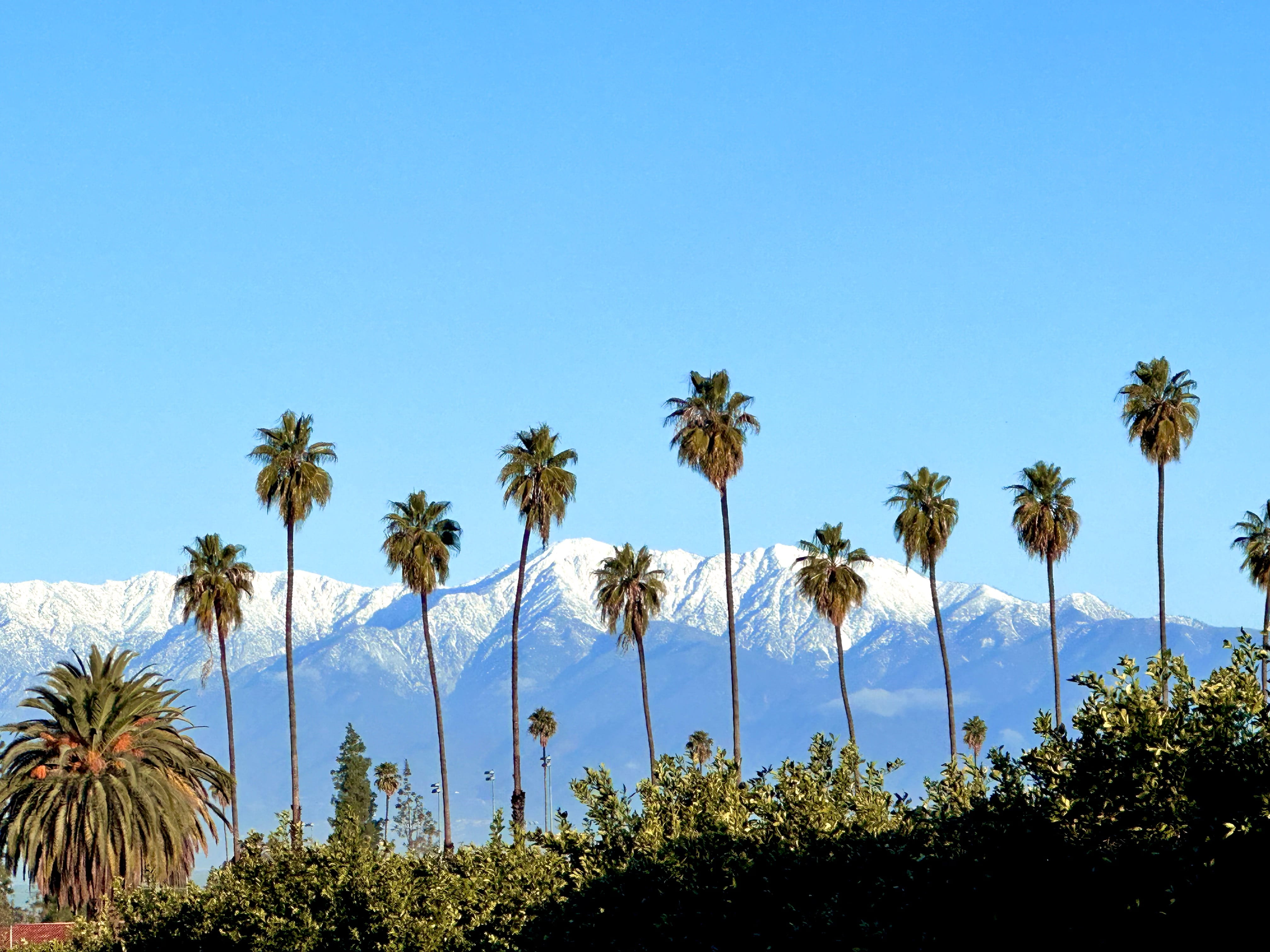 best California CME conferences