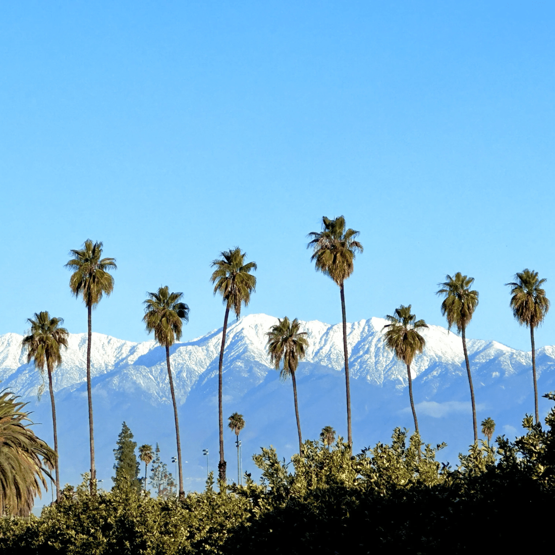 Top California CME Conferences
