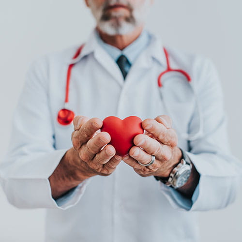 doctor holding a heart