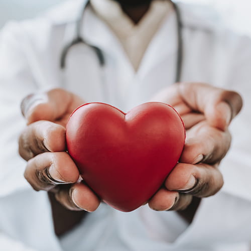 doctor holding heart