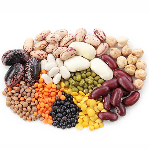 legumes and soy