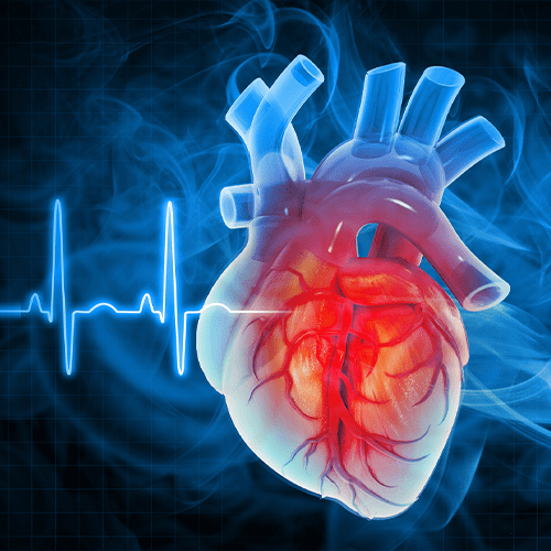Heart attack and heart disease, ecg background. 3d illustration