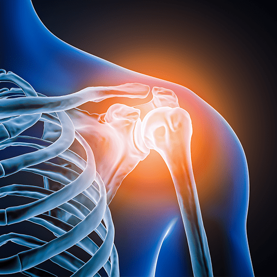shoulder joint highlighted