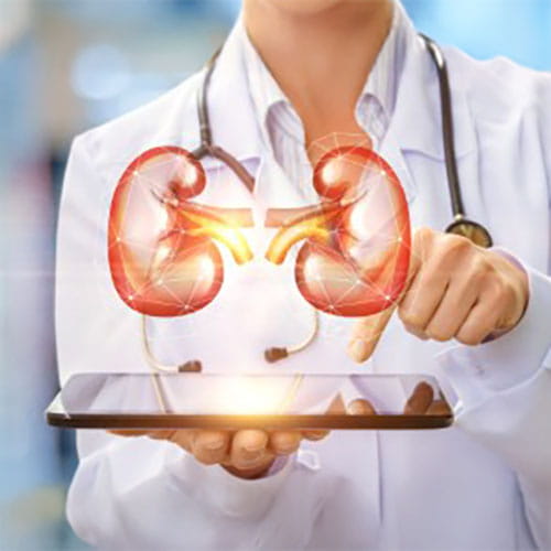 kidneys and tablet