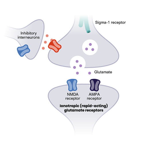 sigma 1 receptor