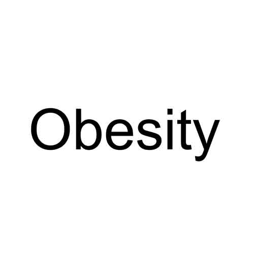 The word 'Obesity'