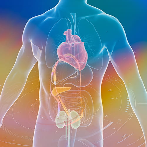 cardiology system