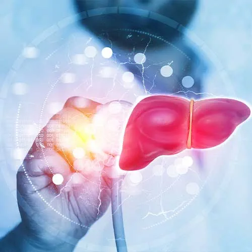 Doctor check and diagnose the human liver on science background.